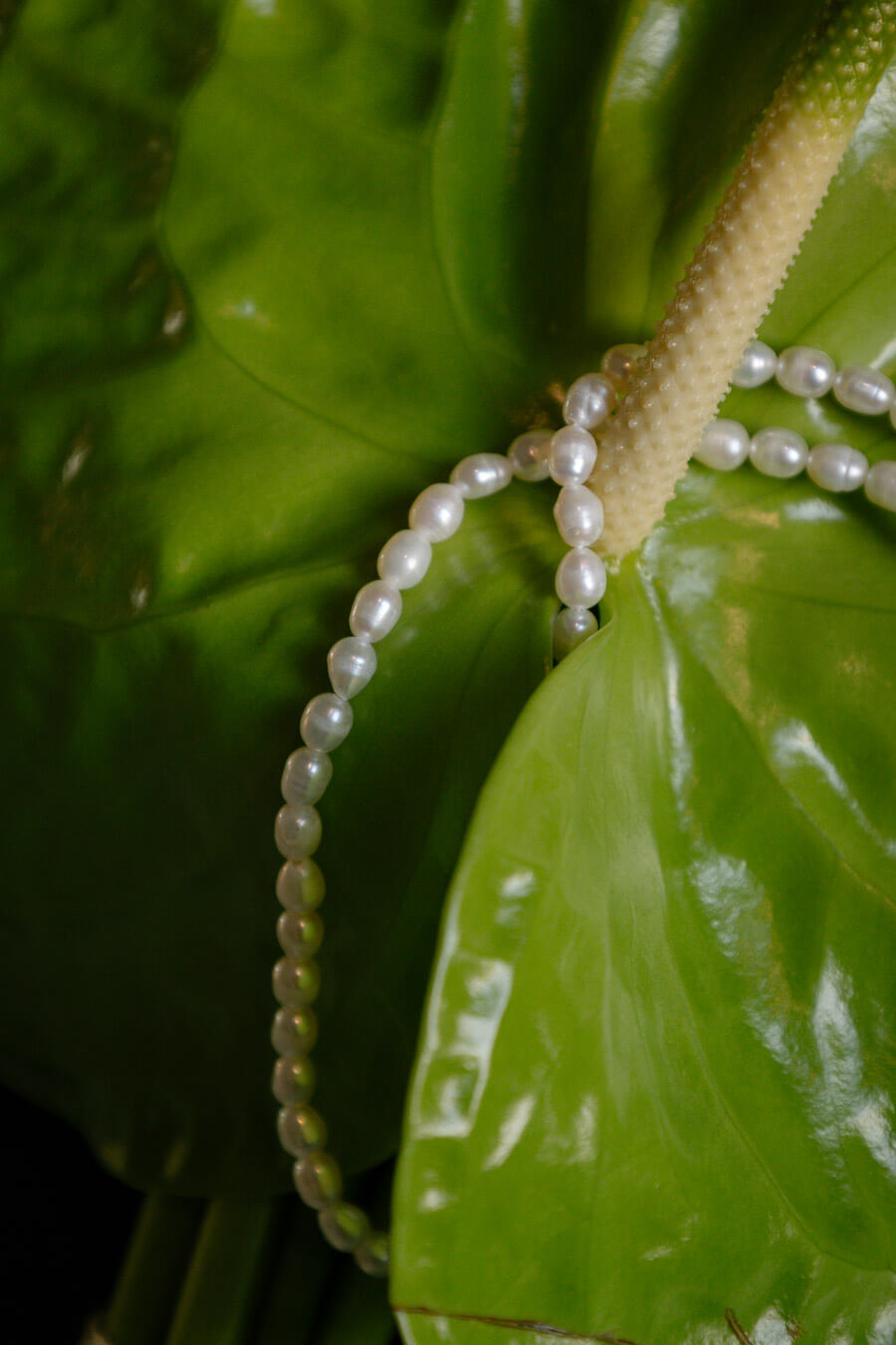 Detailaufnahme der Brautkette auf einer Blume des Brautstraußes