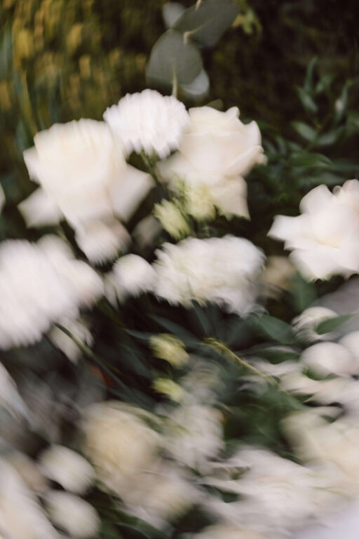blumen weiss blurry