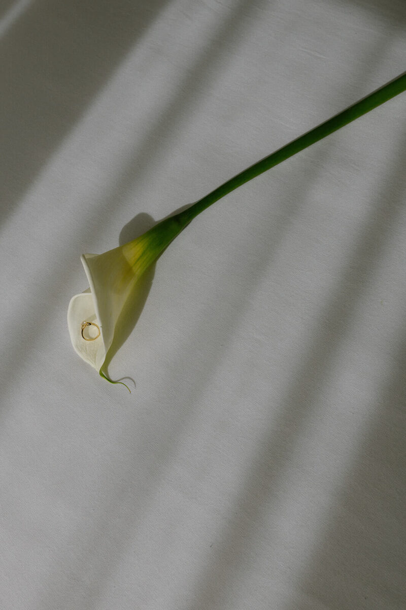 Im Blumenkelch liegt der Verlobungsring.